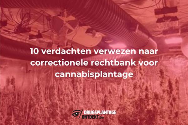 Merksem - Tien verdachten verwezen naar correctionele rechtbank voor cannabisplantage